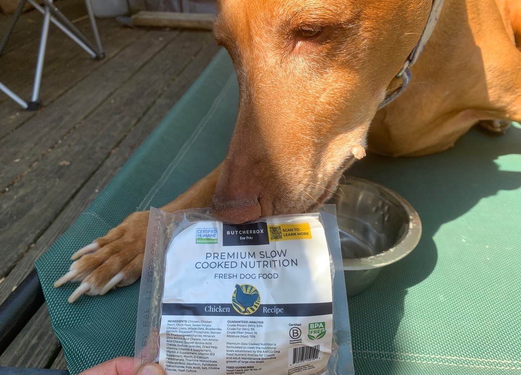 ButcherBox For Pets стал DASH Dog Food: название изменилось, рецептуры остались прежними